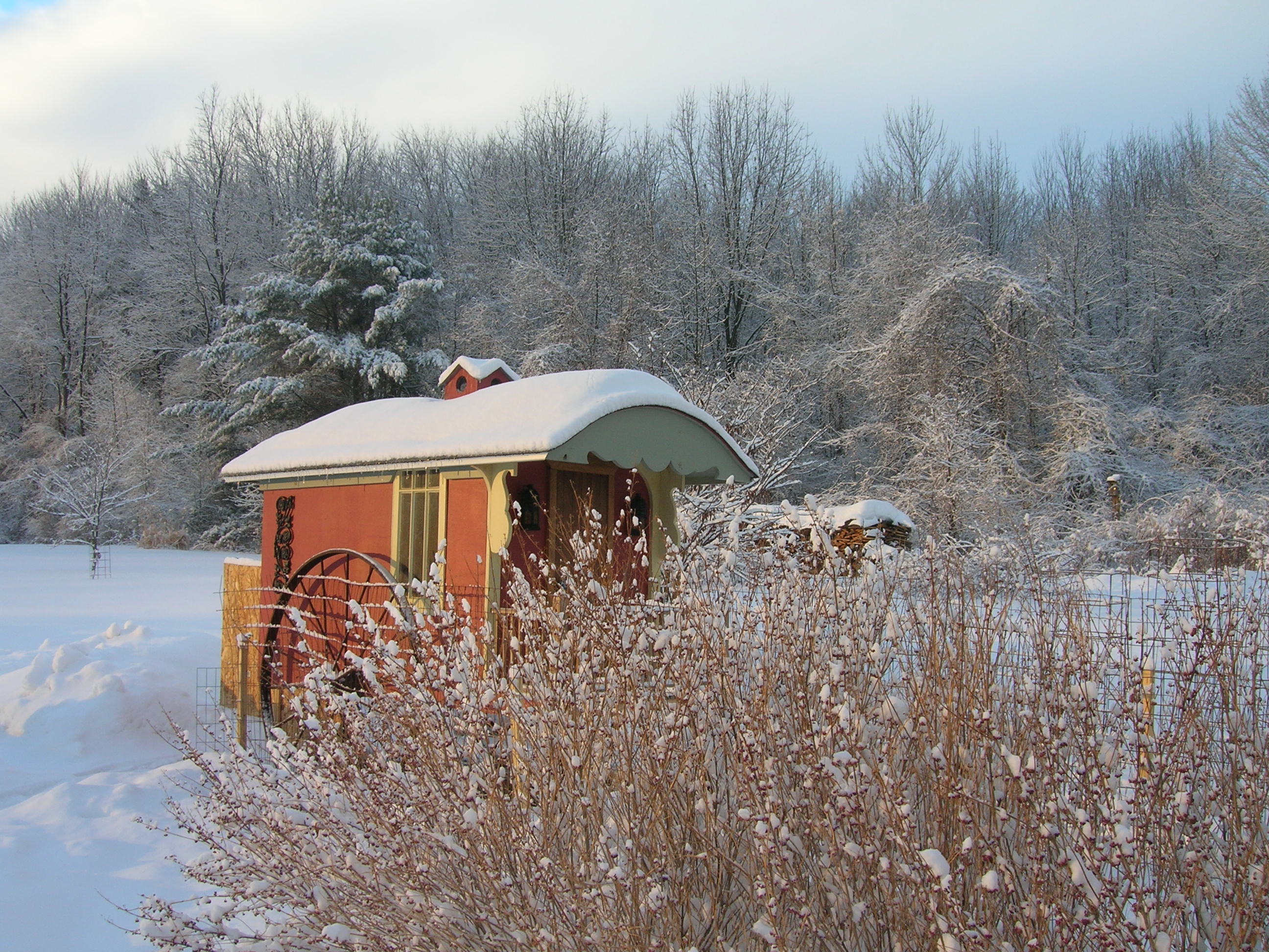 chicken coop